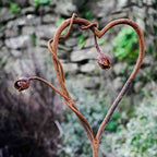 Rusty metal Climbing Rose Heart. Garden flower sculpture image 3