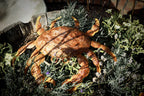 Large rusty metal Crab. Wall art sculpture image 2