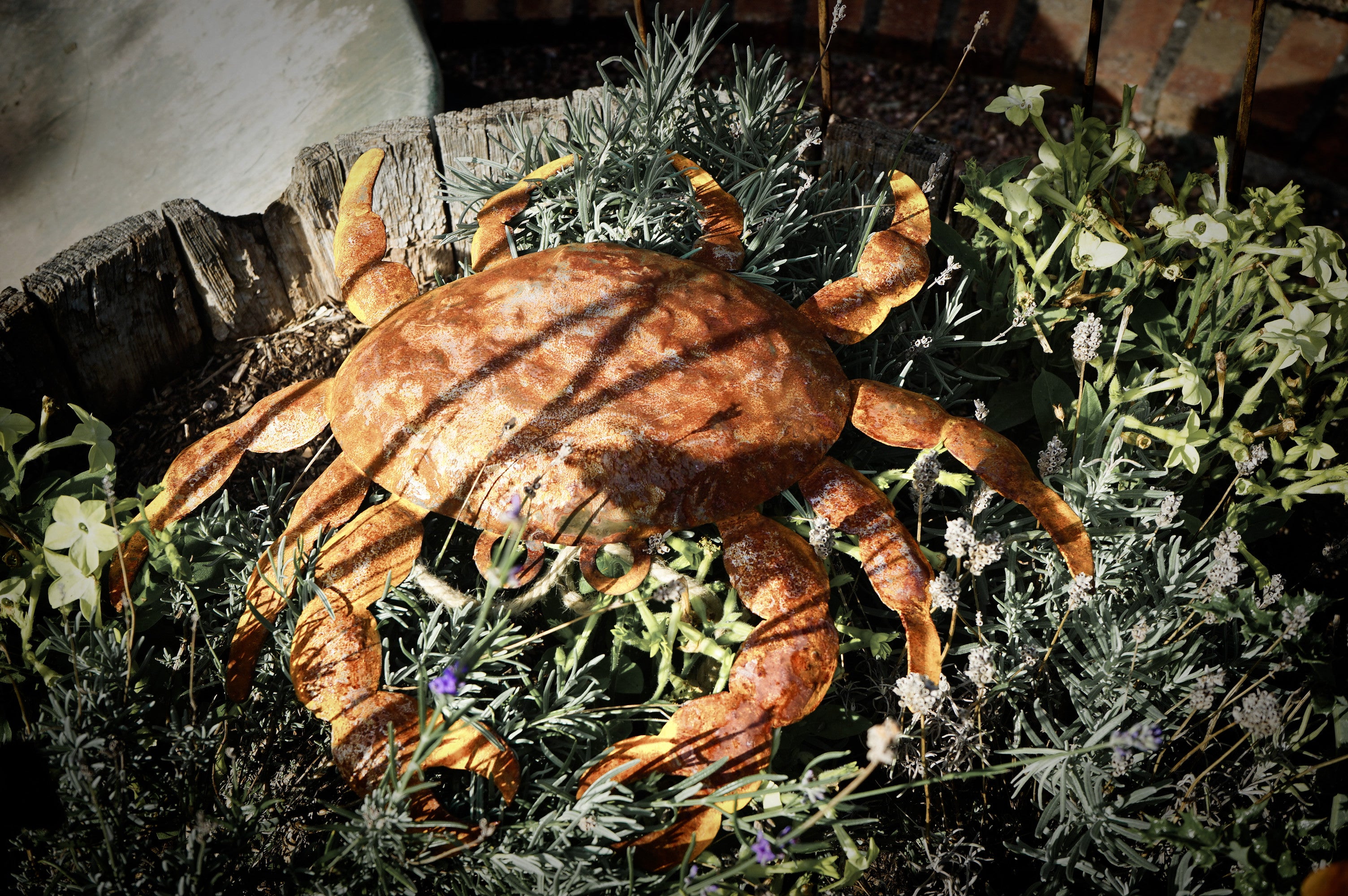 Large rusty metal Crab. Wall art sculpture image 2