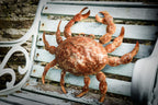 Large rusty metal Crab. Wall art sculpture image 0
