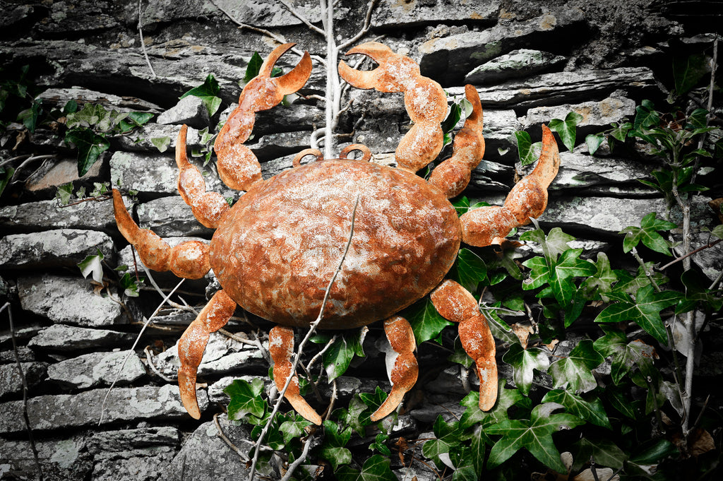Large rusty metal Crab. Wall art sculpture image 5
