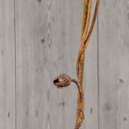 Rusty metal Climbing Rose Heart. Garden flower sculpture image 5
