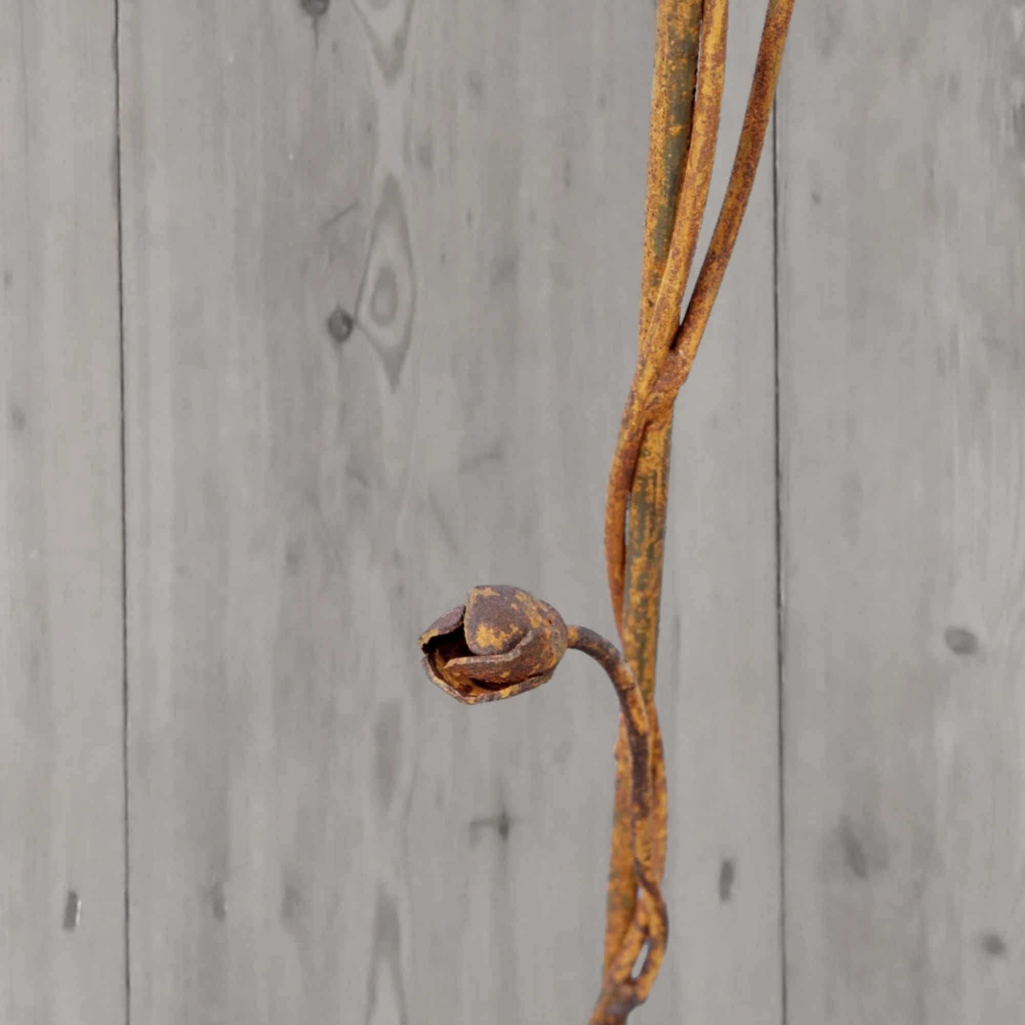 Rusty metal Climbing Rose Heart. Garden flower sculpture image 5
