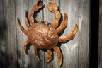 Large rusty metal Crab. Wall art sculpture image 6