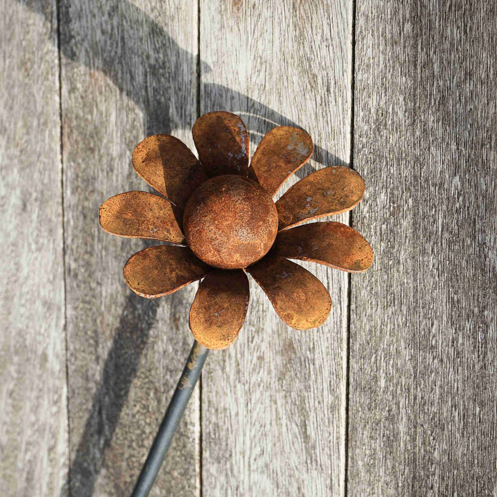 Large rusty metal Chamomile. Garden art flower sculpture image 3