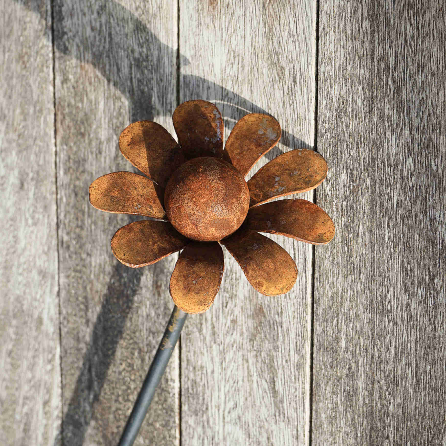 Large rusty metal Chamomile. Garden art flower sculpture image 3