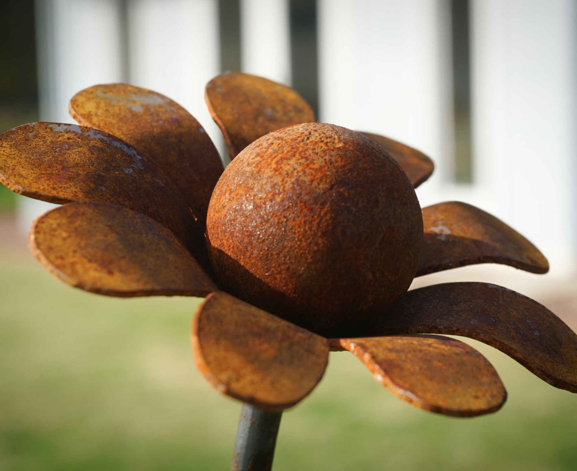 Large rusty metal Chamomile. Garden art flower sculpture image 2