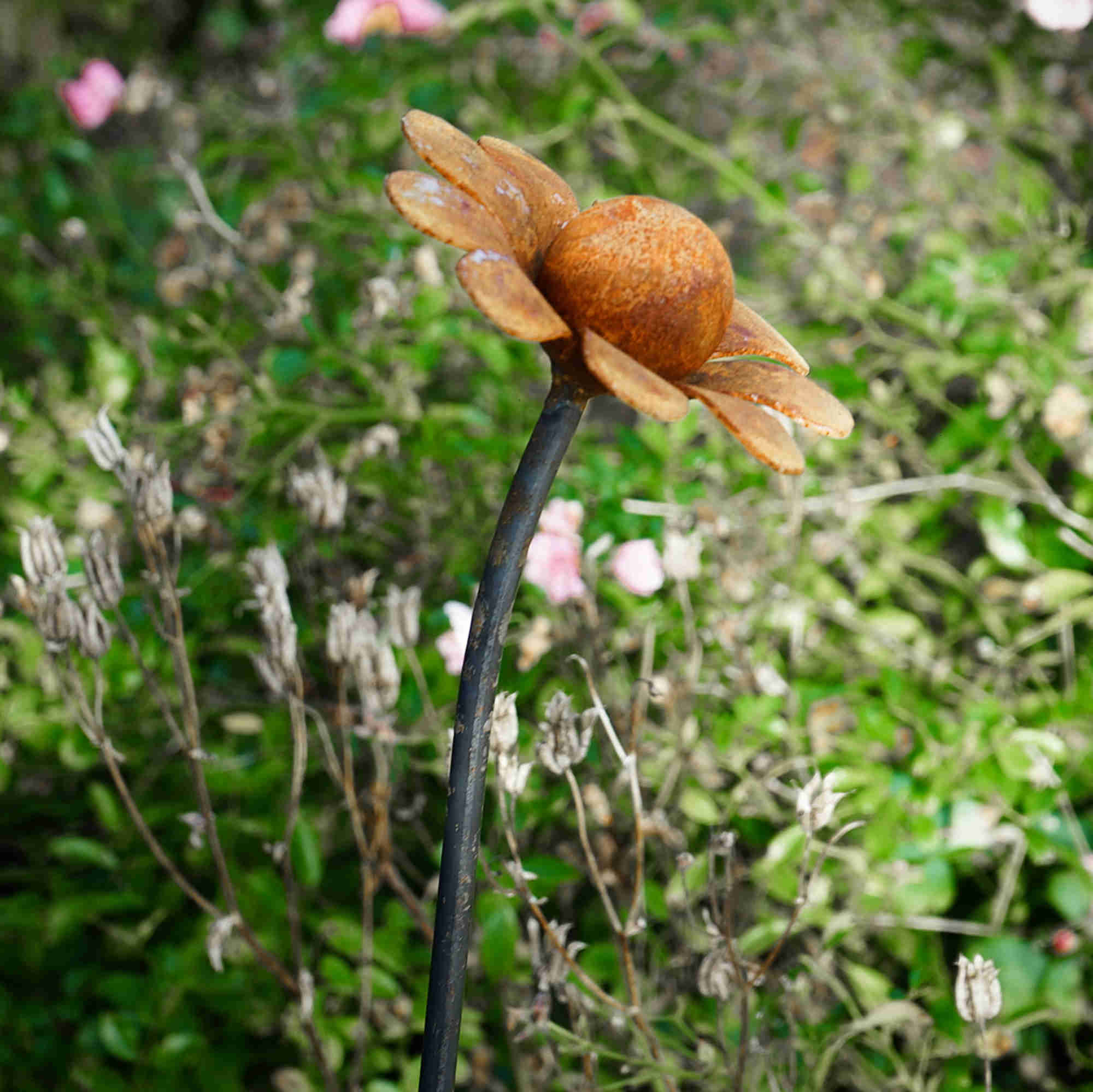 Large rusty metal Chamomile. Garden art flower sculpture image 5