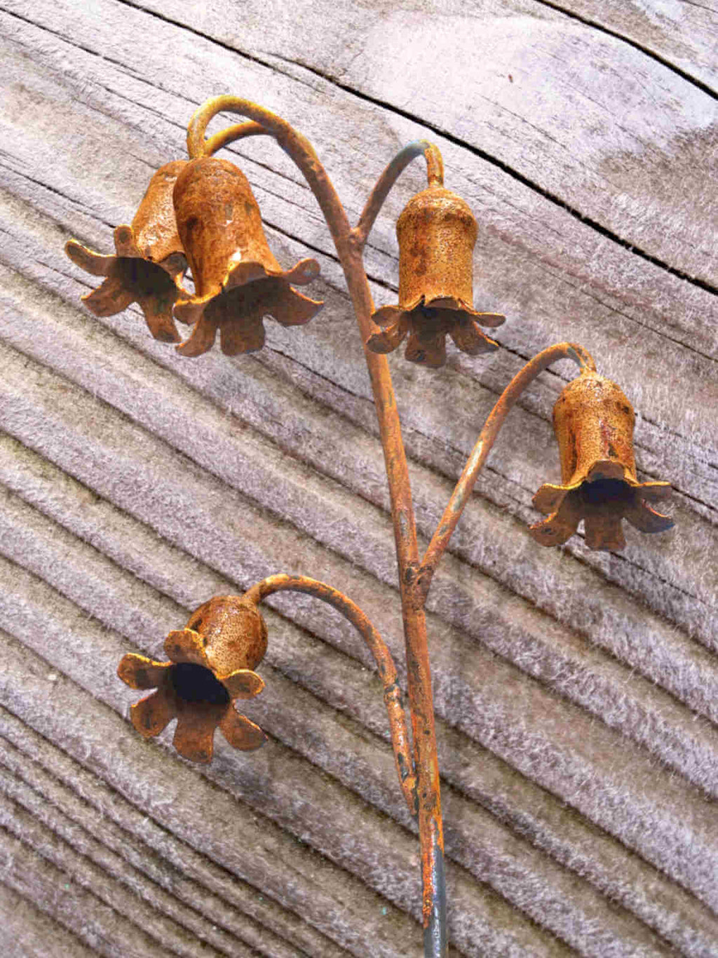 Rusty metal Bluebells sculpture against a weathered wooden background