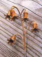 Rusty metal Bluebells sculpture against a weathered wooden background