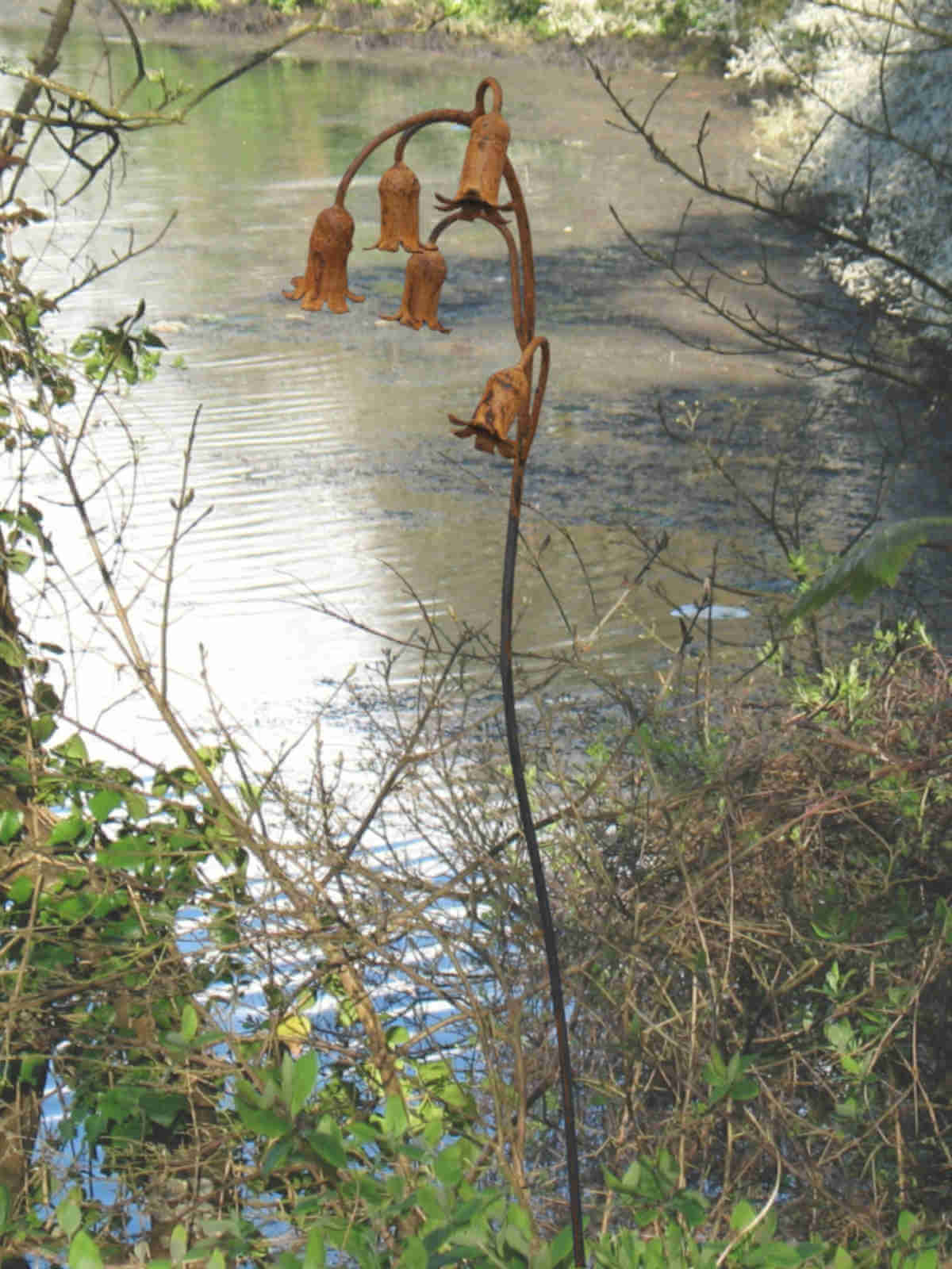 Rusty metal Bluebells sculpture by a river with trees and foliage.
