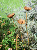 Metal buttercup sculptures in a garden setting with green and purple plants.