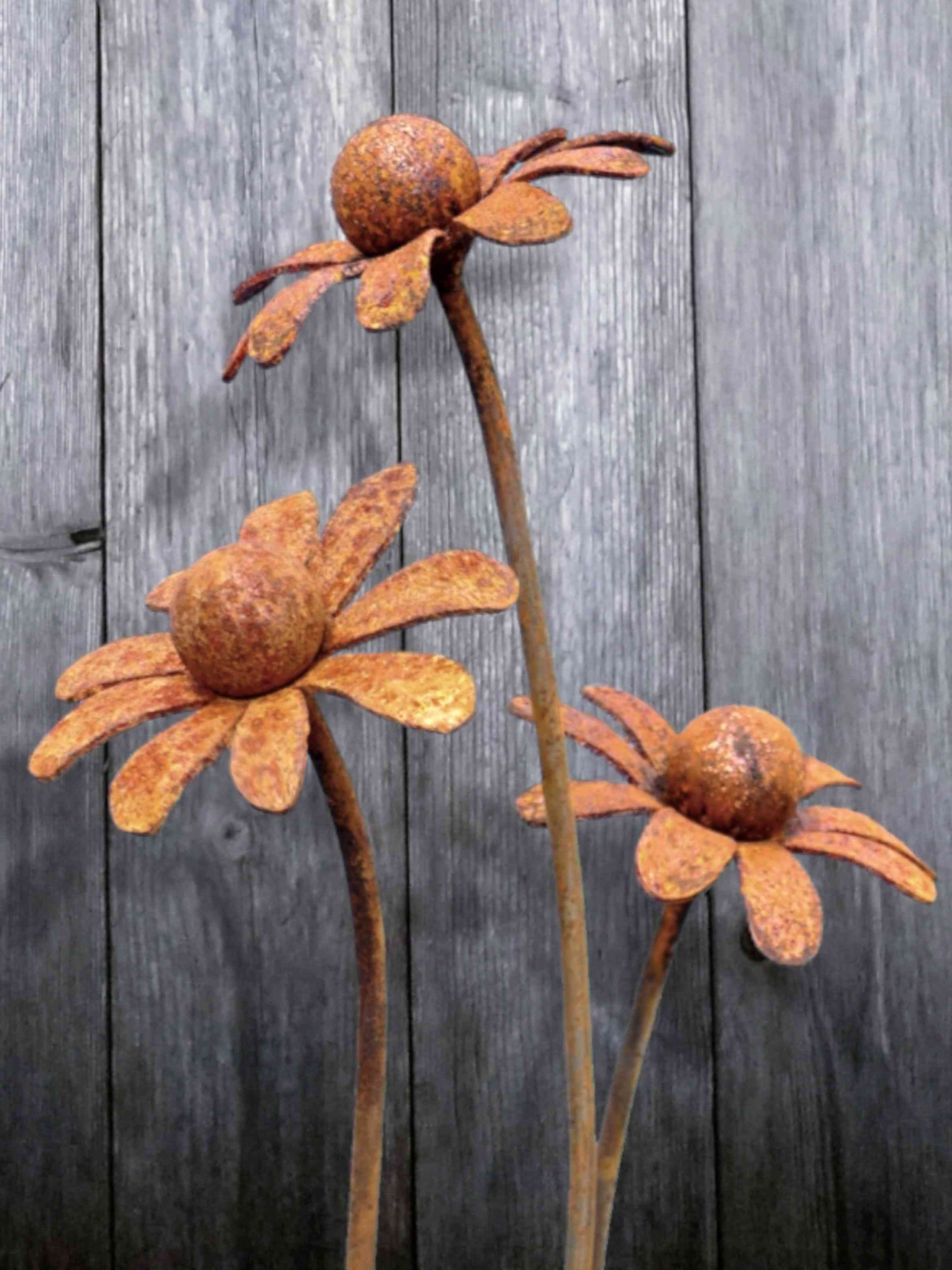 Three rusty metal Chamomile flower sculptures against a wooden background