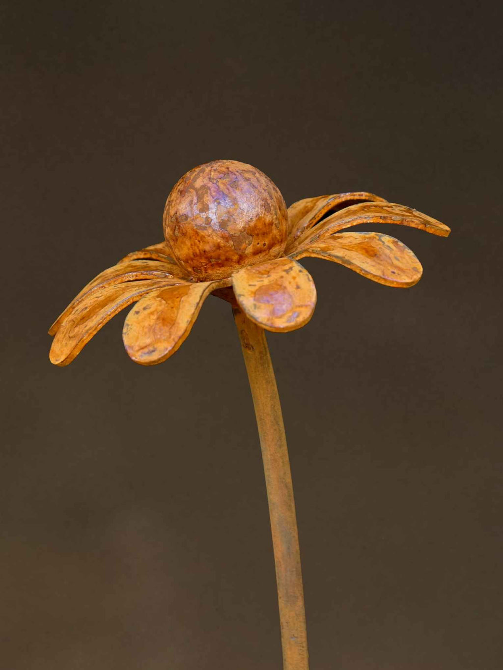 One rusty metal Chamomile flower sculpture close up showing flower head