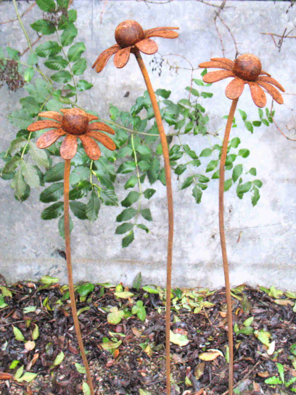 Three rusty metal Chamomile flower sculptures against a stone wall and greenery background