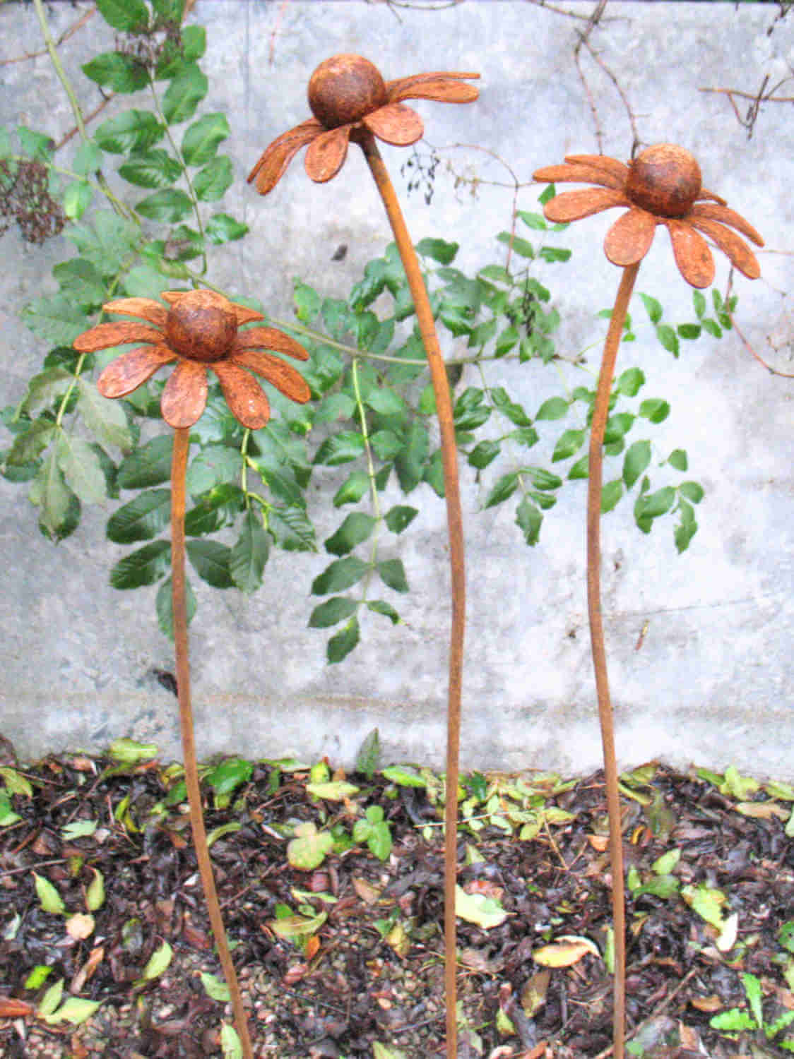 Three rusty metal Chamomile flower sculptures against a stone wall and greenery background