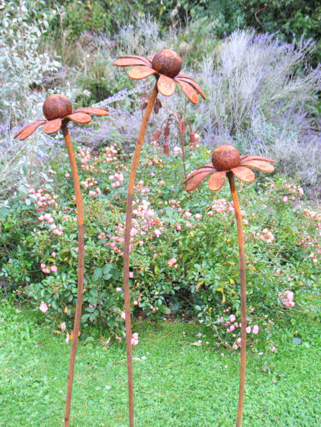 Three rusty metal Chamomile flower sculptures in a garden setting with greenery and flowers.