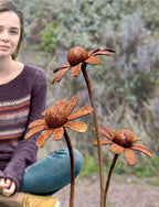 Three rusty metal Chamomile flower sculptures with a young woman sat in the background