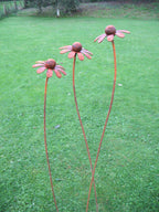 Three rusty metal Chamomile flower sculptures on a grassy background