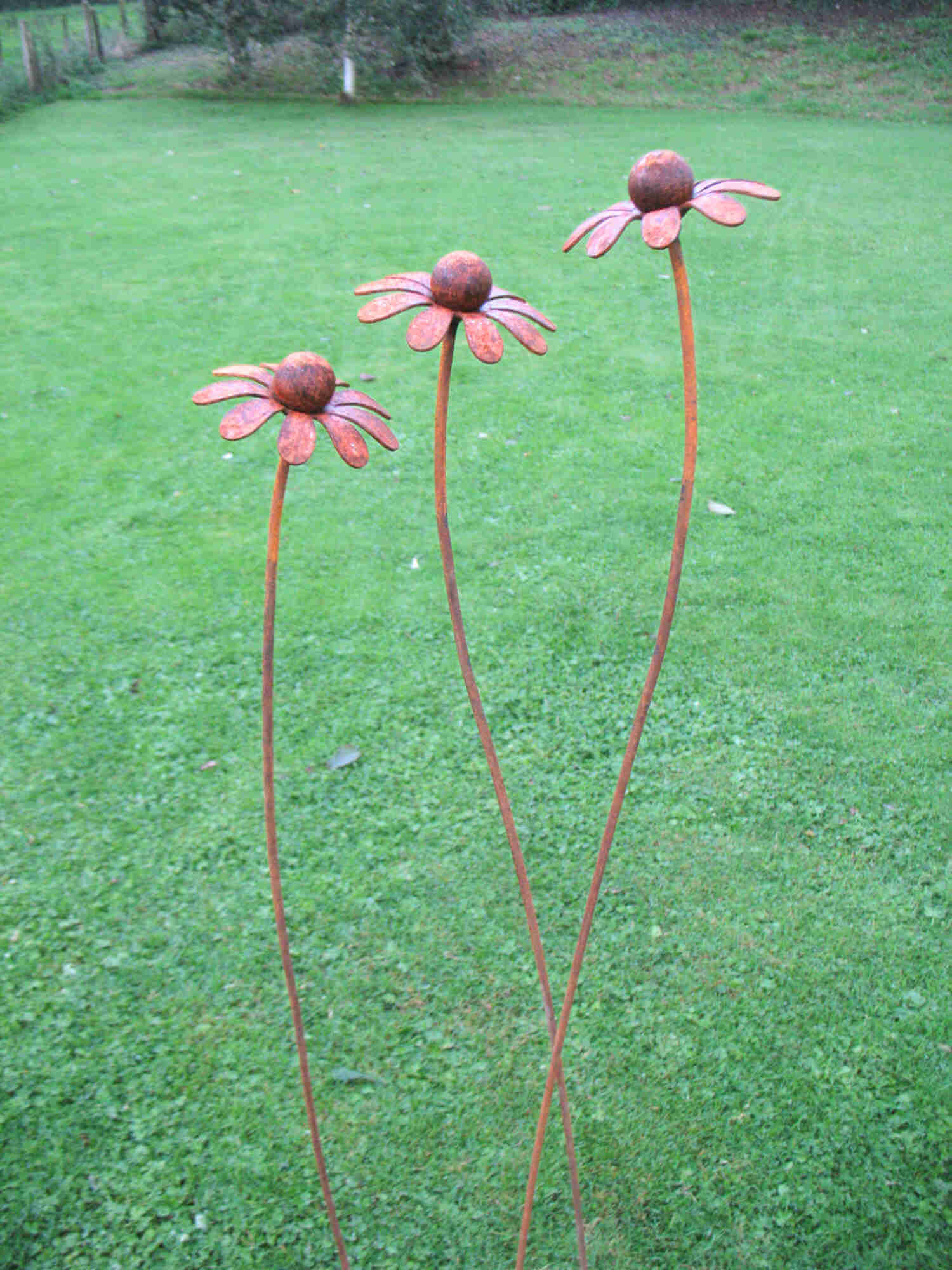 Three rusty metal Chamomile flower sculptures on a grassy background