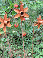 Rusty metal Daffodils sculptures standing in front of an apple tree in fruit.