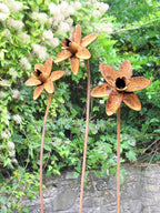 Three rusted metal Daffodil sculptures against a natural background with greenery and white flowers.