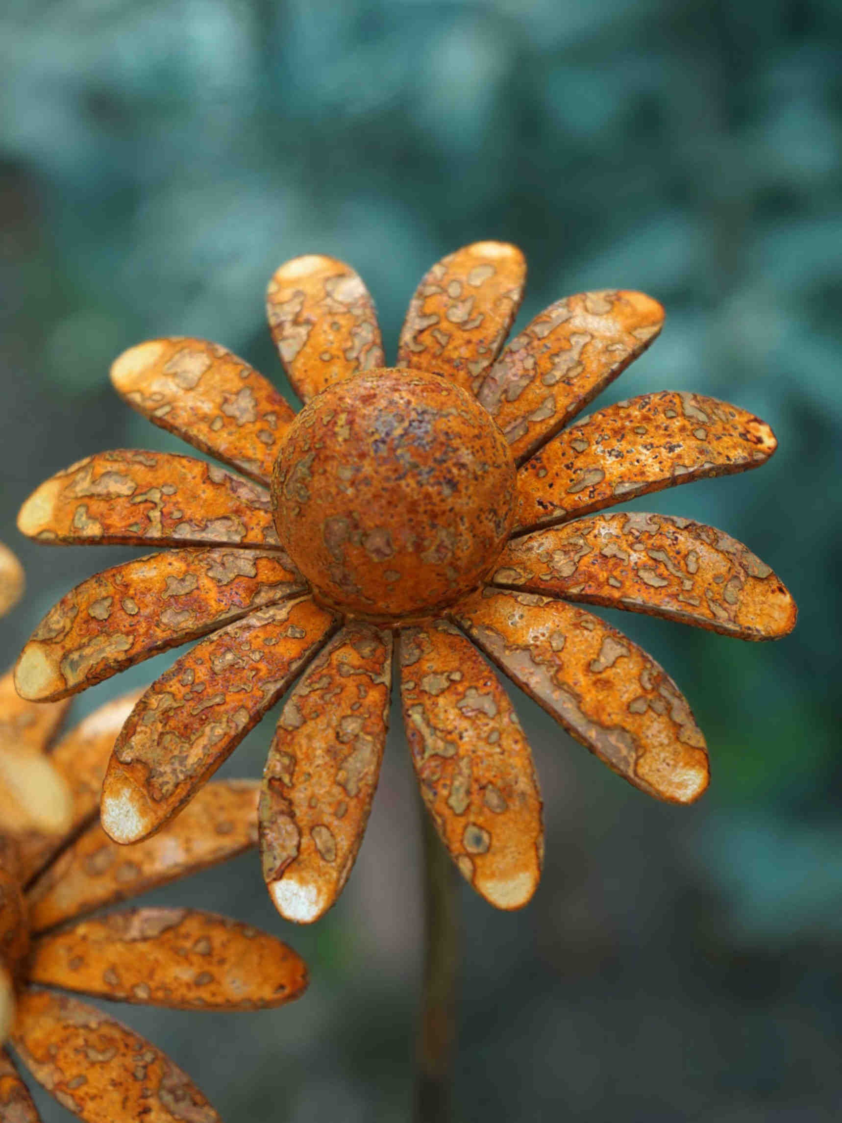 Rustic metal daisy garden stake with orange-brown patina petals and a textured centre, photographed outdoors against a blurred green background.