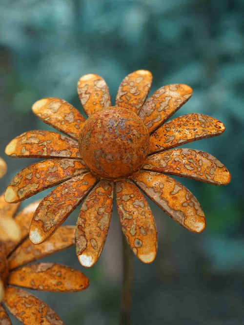 Rustic metal daisy garden stake with orange-brown patina petals and a textured centre, photographed outdoors against a blurred green background.