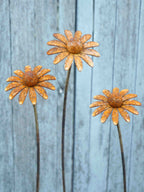 Three rusted metal daisy garden stakes with textured orange-brown flower heads and dark stems, set against a weathered blue-gray wooden fence.