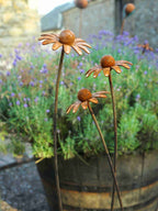 Three rusted metal daisy garden stakes with flower heads and long stems, displayed in front of a blurred background of potted lavender plants.