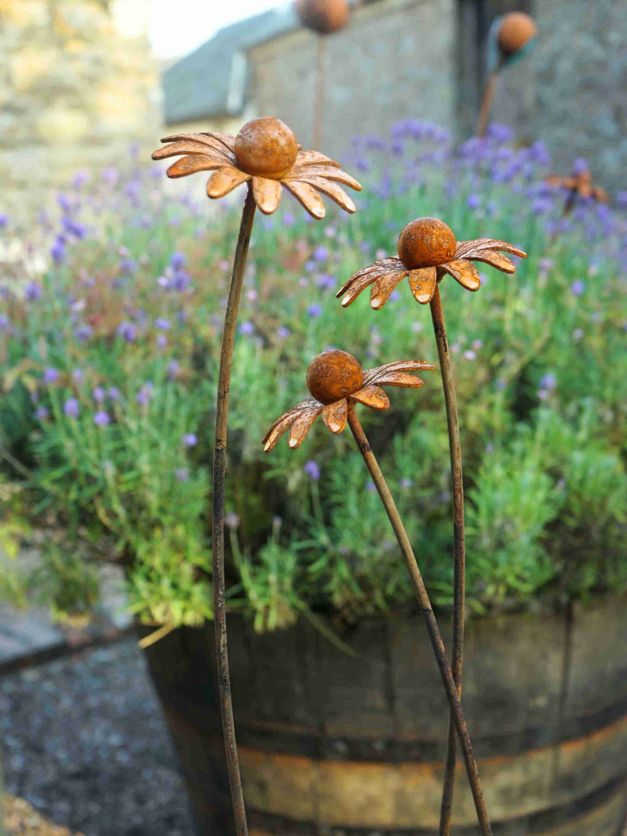 Three rusted metal daisy garden stakes with flower heads and long stems, displayed in front of a blurred background of potted lavender plants.