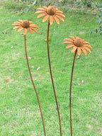Three rusted metal daisy garden stakes with orange-brown flower heads and long brown stems, set in a green grassy outdoor area.