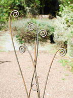 Rusty metal fern stems with intricate spiral tips in a garden setting