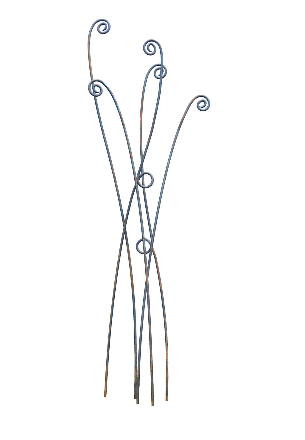 Set of 5 rusty metal fern stems with intricate spiral tips
