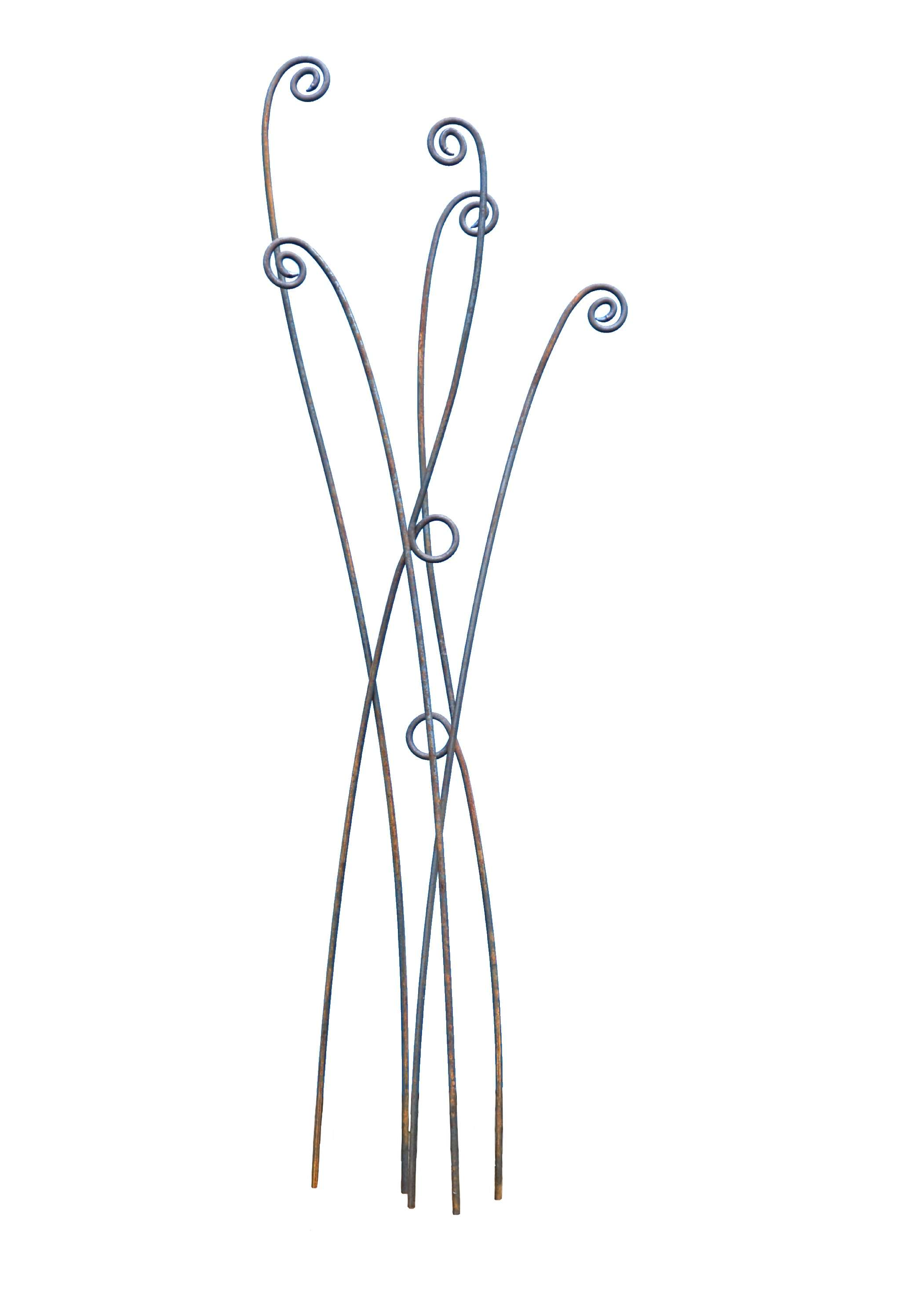 Set of 5 rusty metal fern stems with intricate spiral tips