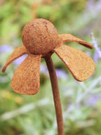 Metal Helenium flower sculpture with a rusty brown patina against a blurred natural background