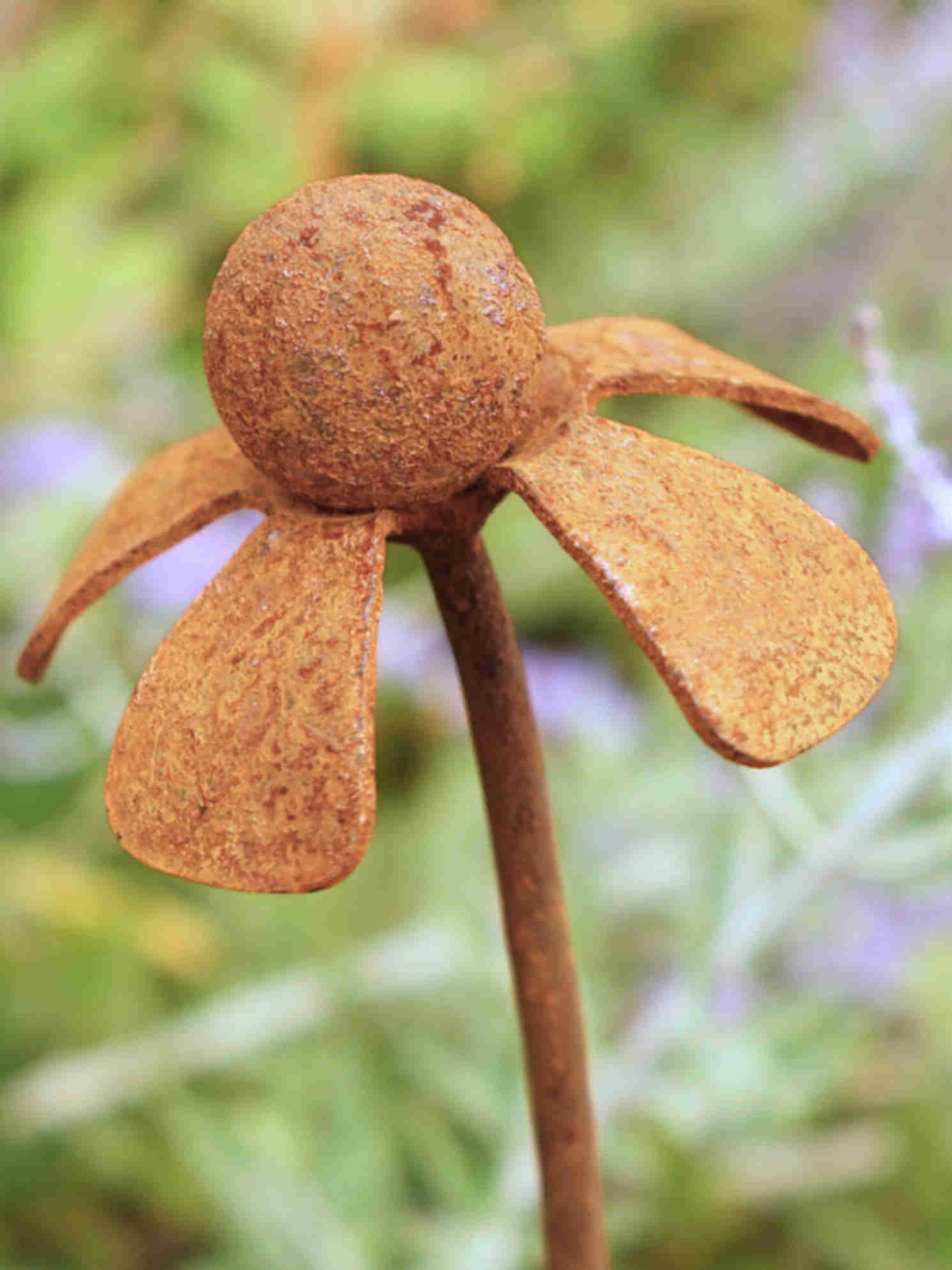 Metal Helenium flower sculpture with a rusty brown patina against a blurred natural background
