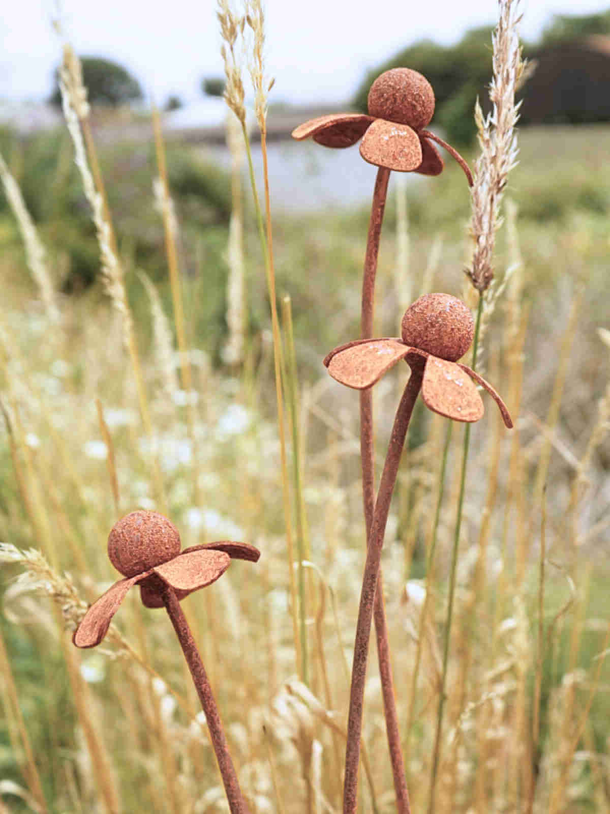 Rusty metal Heleniums flower sculptures in a field of tall grass