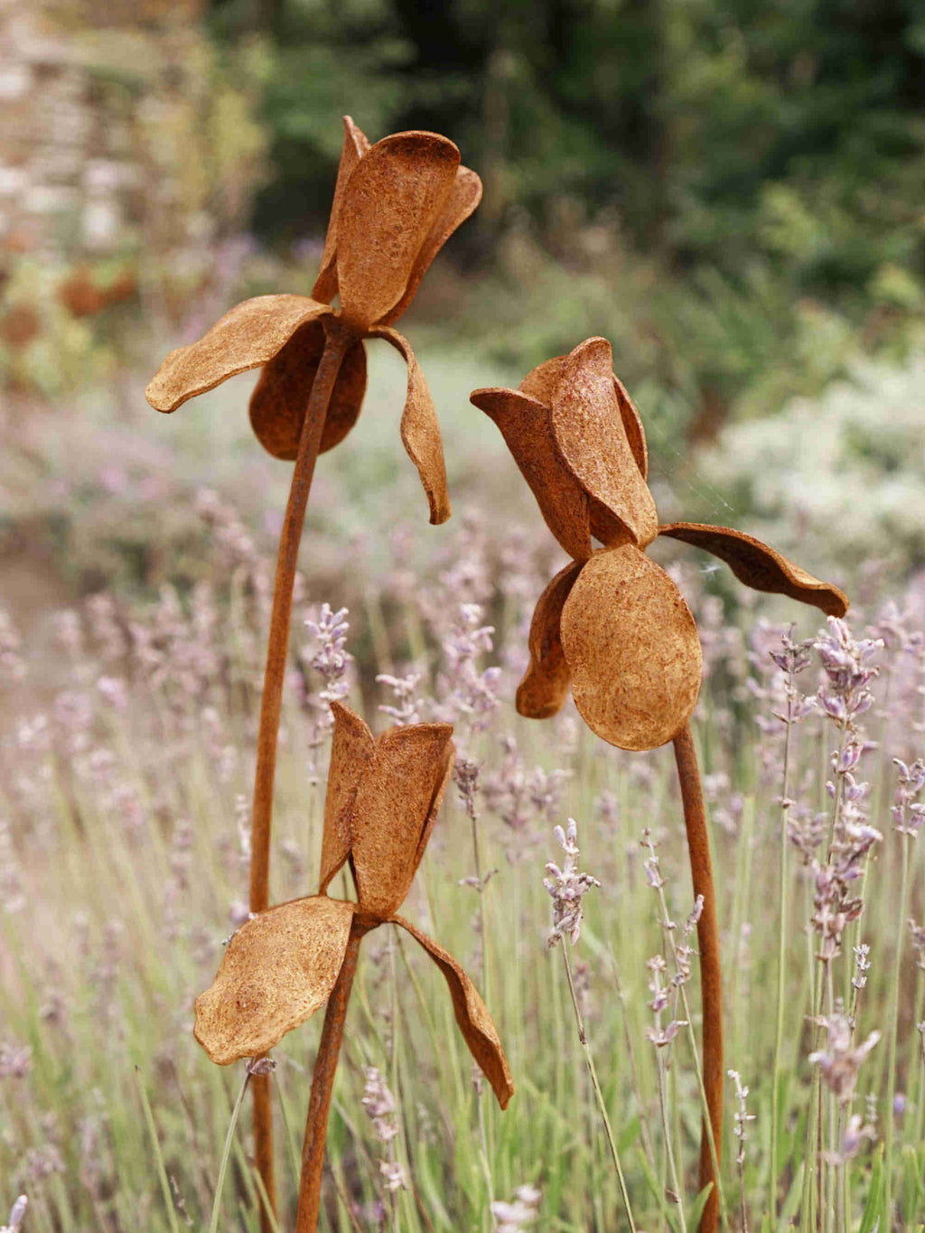Rusty metal Iris flower sculptures in a garden setting with lavender.