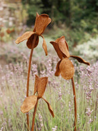 Rusty metal Iris flower sculptures in a garden setting with lavender.