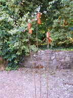Three rusty metal Iris flower sculptures against a green foliage and stone wall background
