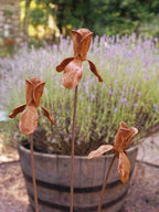 Rusty metal Iris flower sculptures in front of an oak barrel with lavender plants.