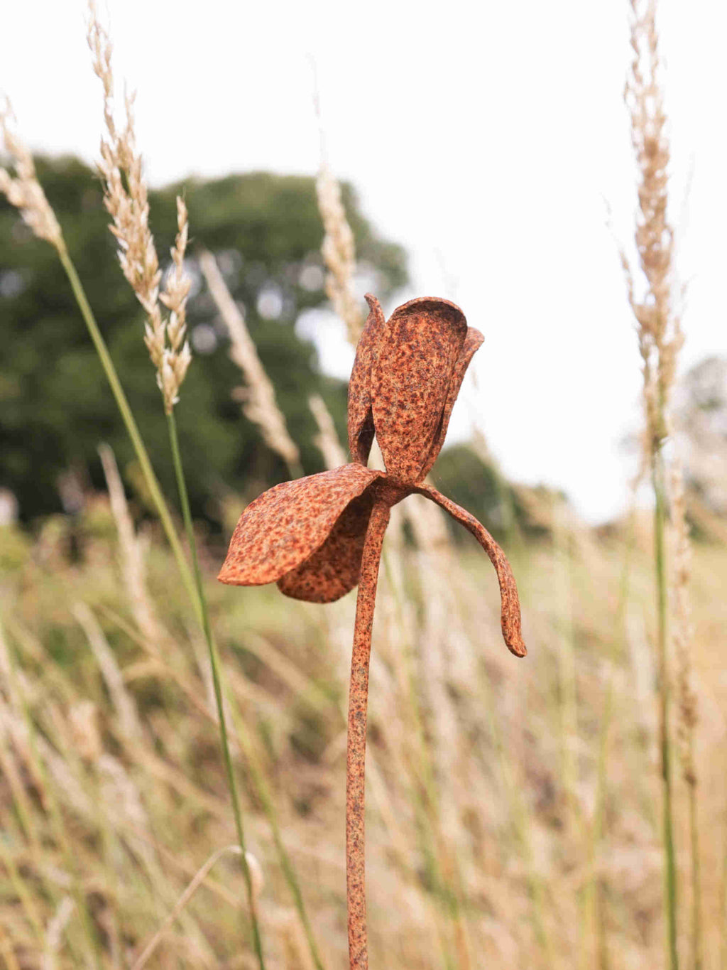 Rusty metal Iris flower sculpture in a field of tall grass