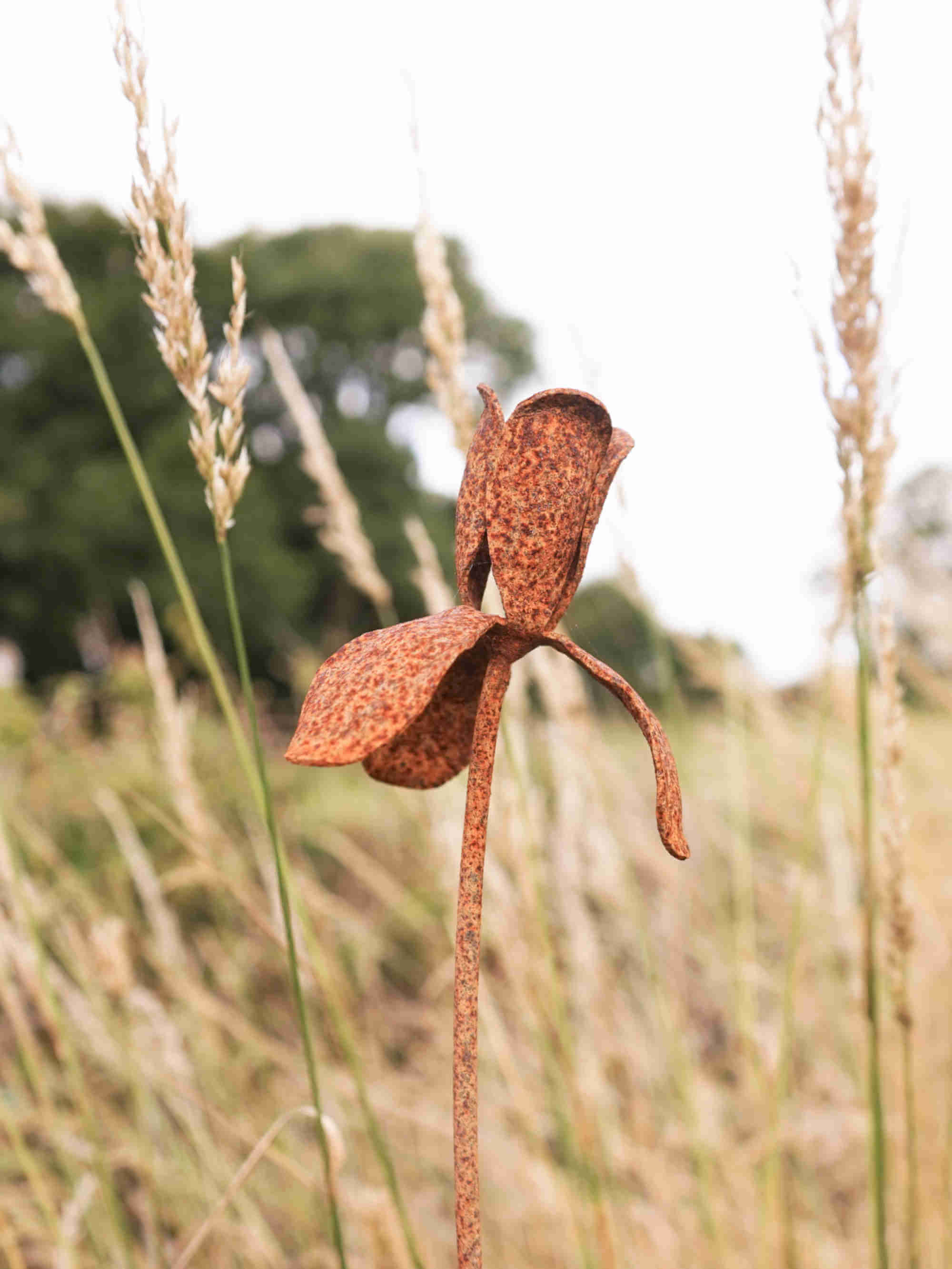 Rusty metal Iris flower sculpture in a field of tall grass