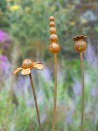 Rusty metal mixed flowers sculptures on stems with a blurred natural background