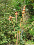 Rusty metal mixed flowers sculptures against a blurred green background