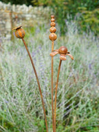 Rusty metal mixed flowers sculptures in a garden setting with lavender