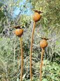 Metal sculptures of poppy seed heads against a natural background with greenery and lavender.