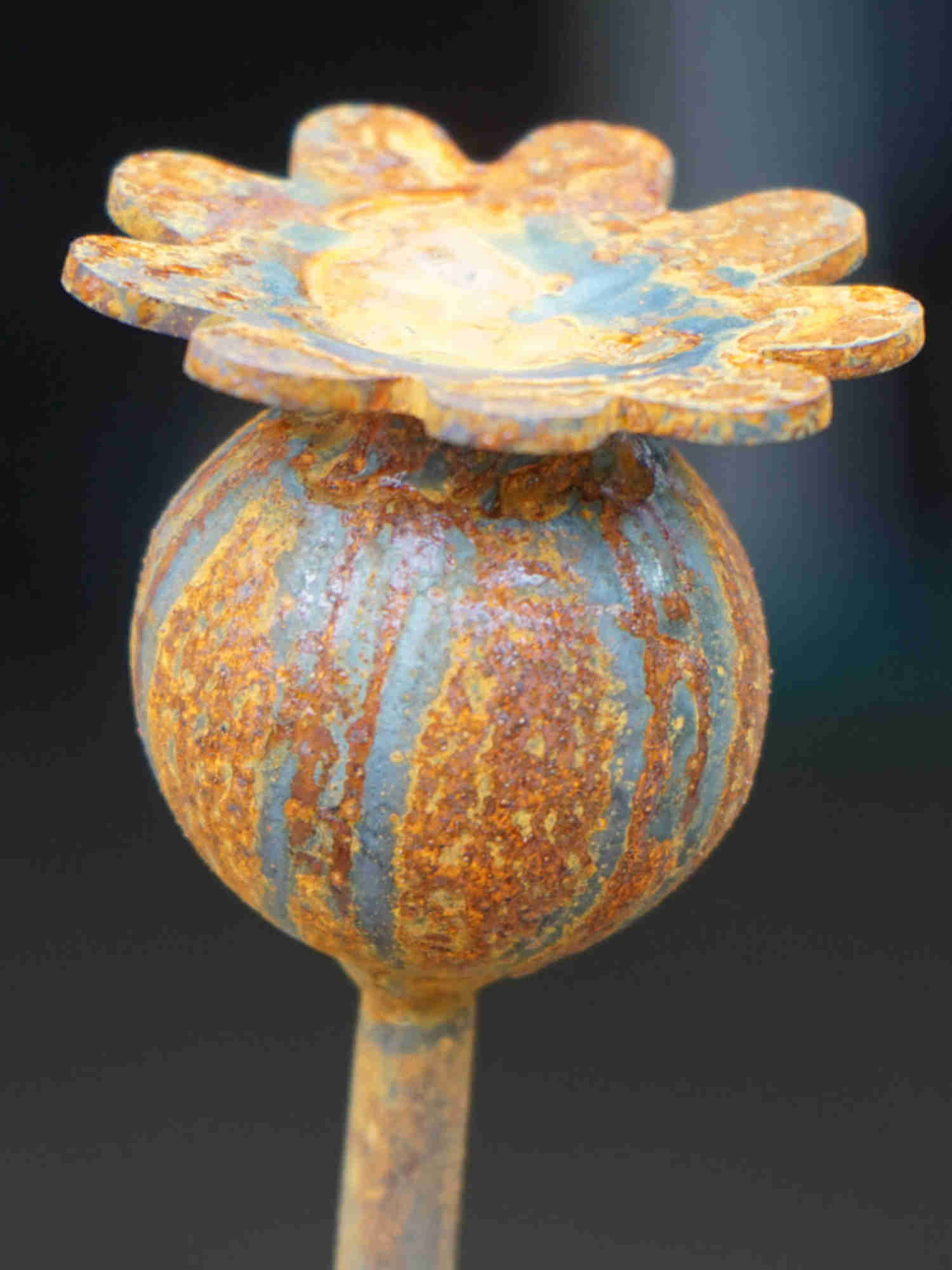 Close up image of metal poppy seed head showing mottled rusty patina