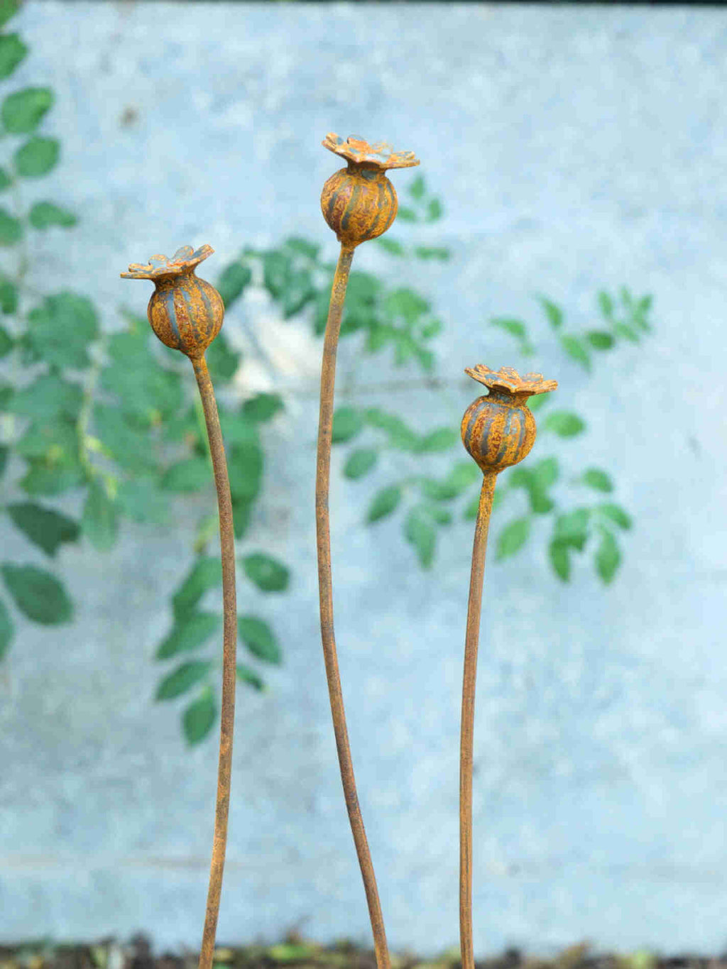 Three metal poppy seed heads sculptures with green leaves in the background